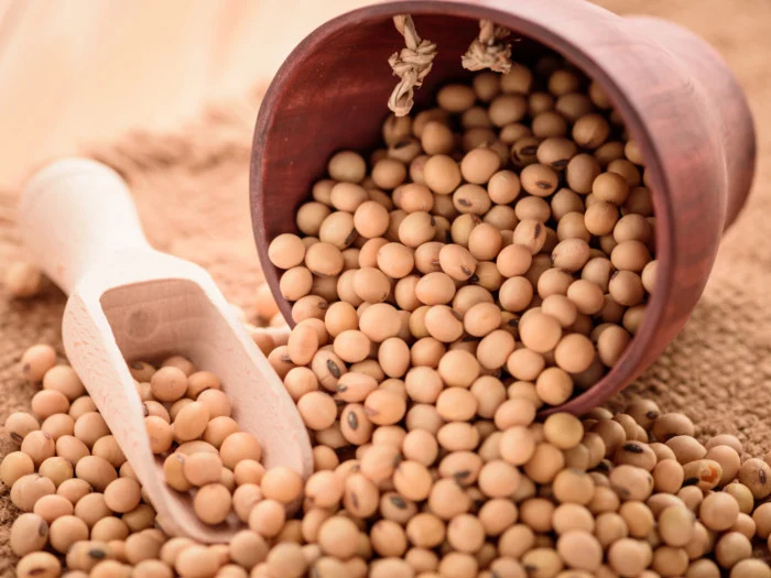 Soybeans have a variety of health advantages.
