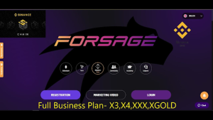 What is Forsage and How We Can Earn Online in Pakistan