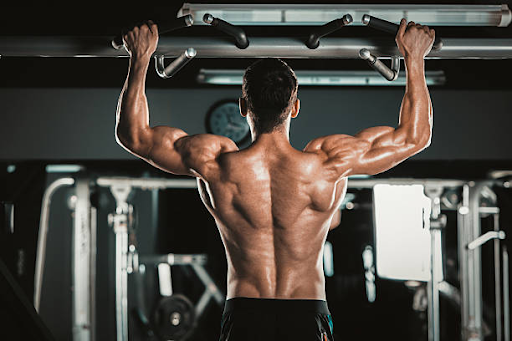 Maximizing Muscle Growth: A Comprehensive Guide to WellHealth